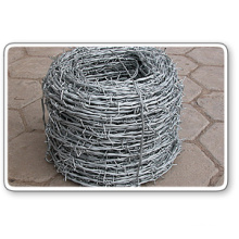 Hot Dipped Galvanized Electro Welded Iron Barbed Wire